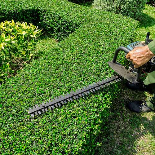 Profesyonel Site Yönetim